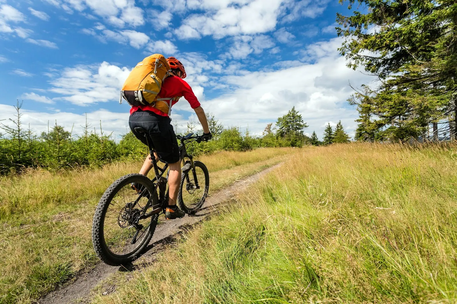 Mountain biker riding along a grassy trail