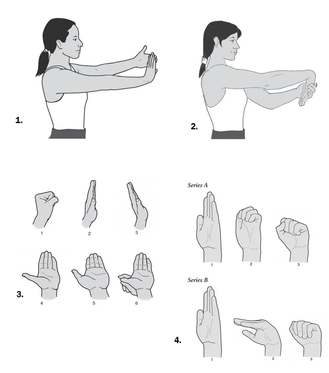 Illustrated steps of wrist and hand stretching exercises