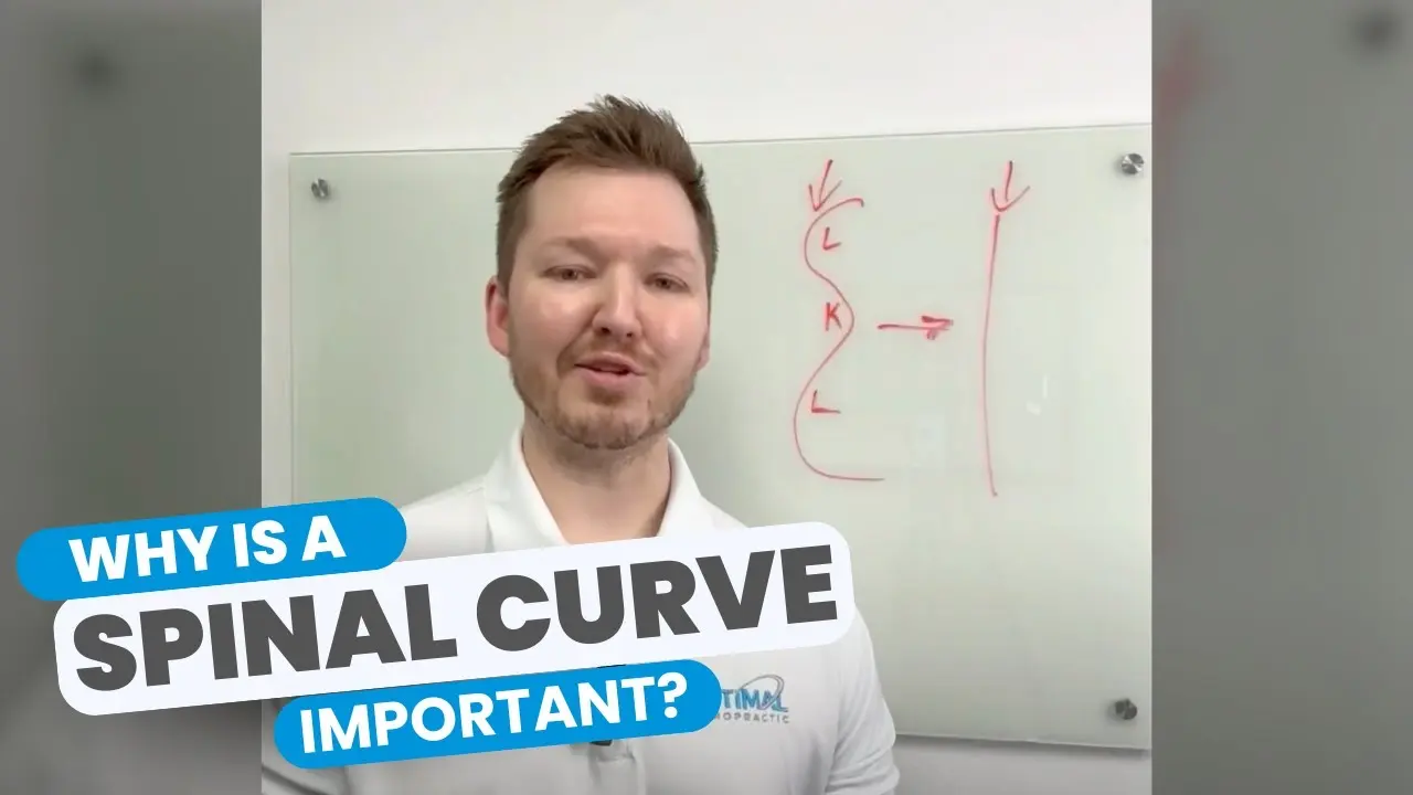 Why Are Spinal Curves Important?